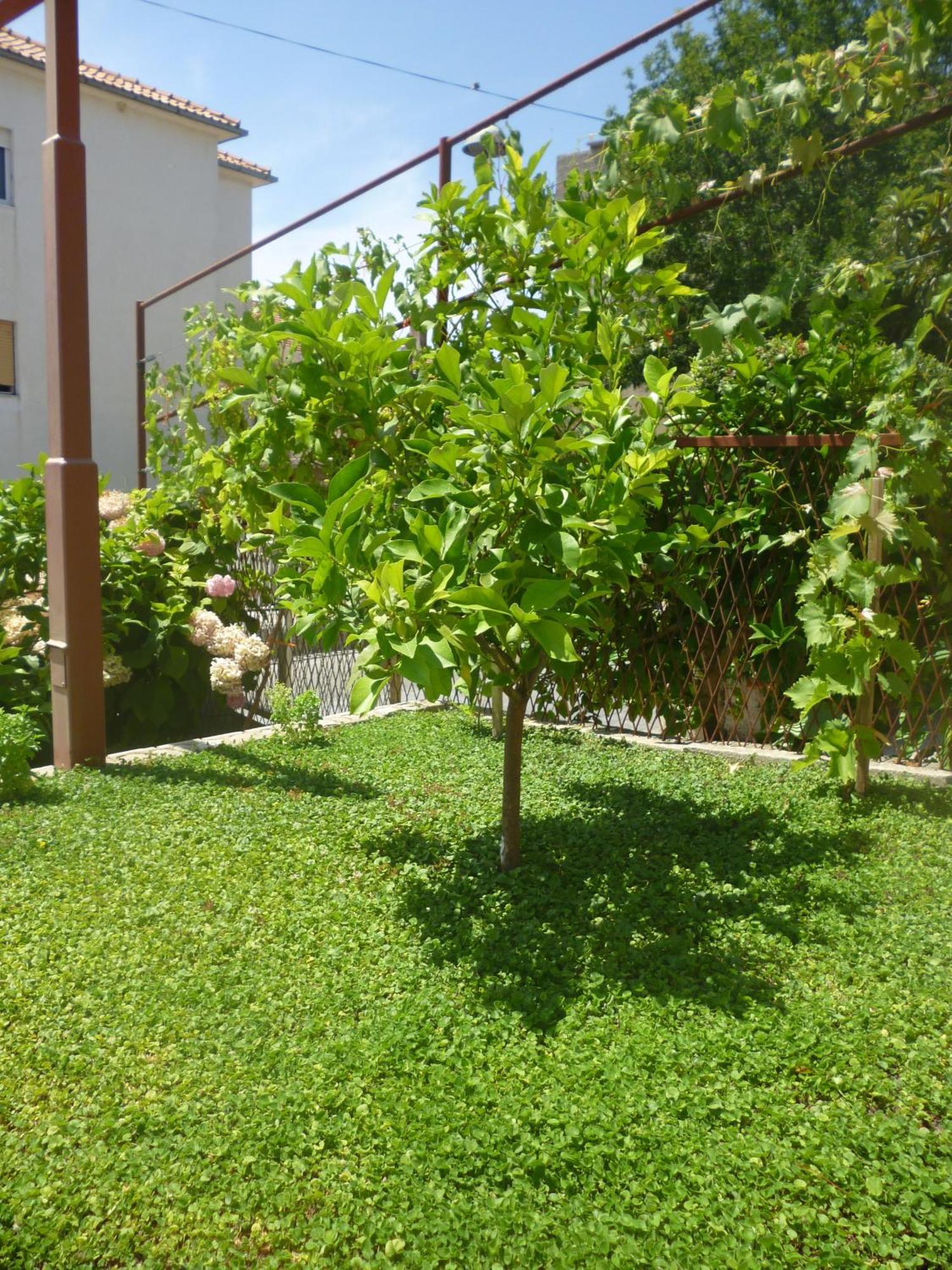 Villa Barbara Stobreč Εξωτερικό φωτογραφία